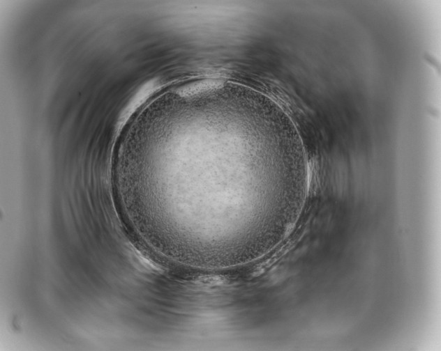 X0000096430195200801241346