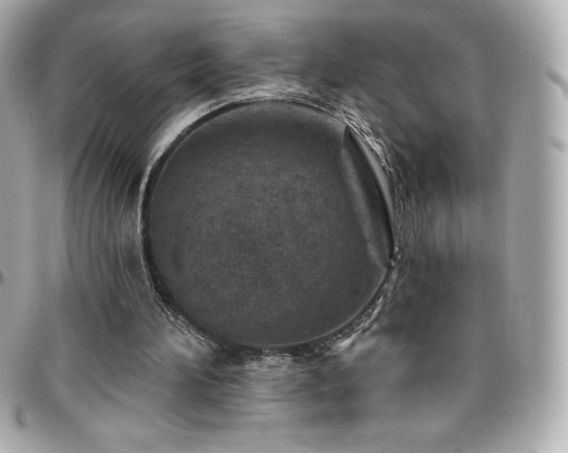X0000096430196200801241346