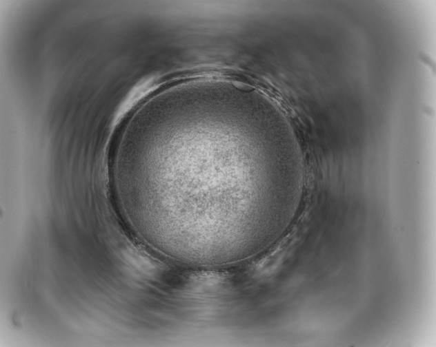 X0000096430198200801241346