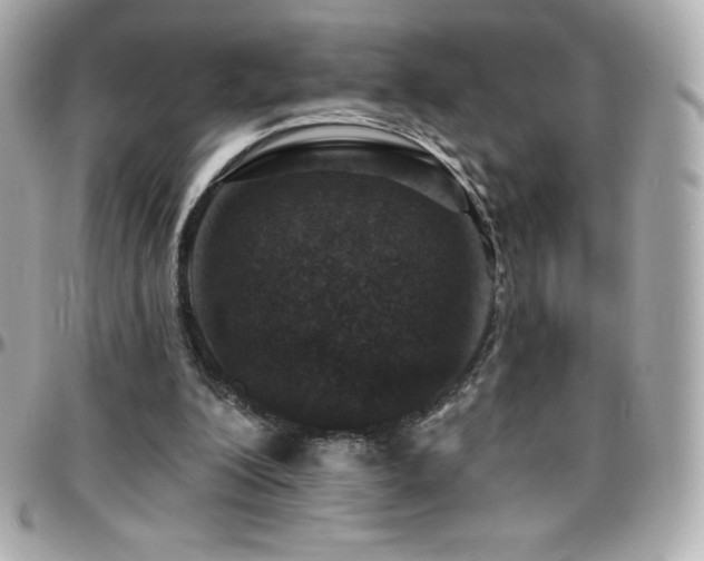 X0000096430200200801241346