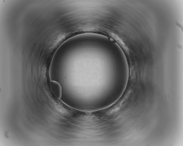 X0000096430201200801241346