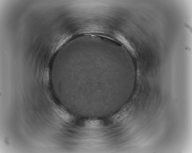 X0000096430202200801241346
