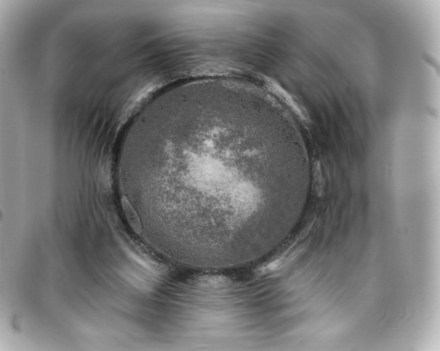 X0000096430203200801241346