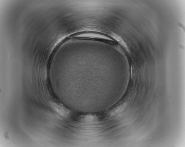 X0000096430204200801241346