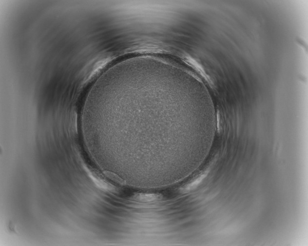 X0000096430205200801241346