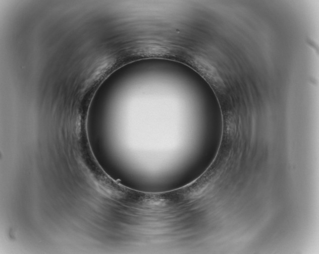 X0000096430206200801241346