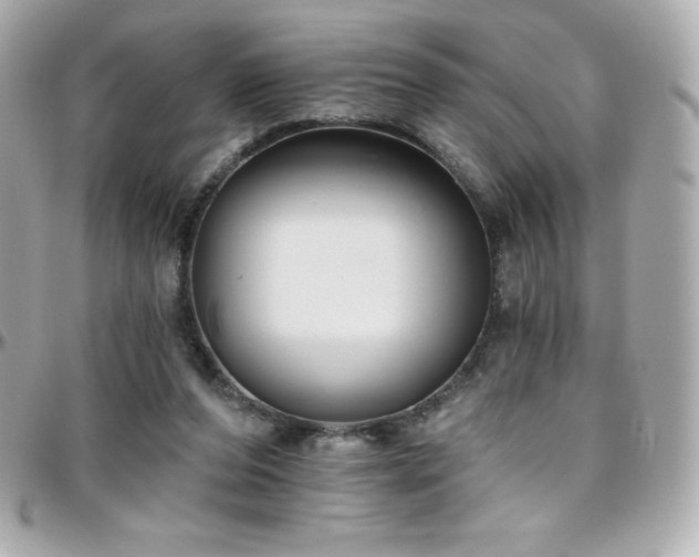 X0000096430208200801241346