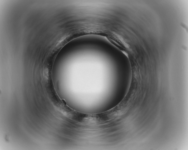 X0000096430211200801241345