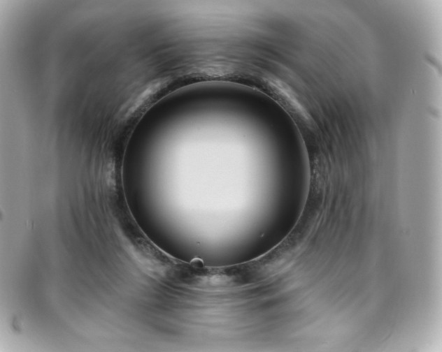 X0000096430212200801241345