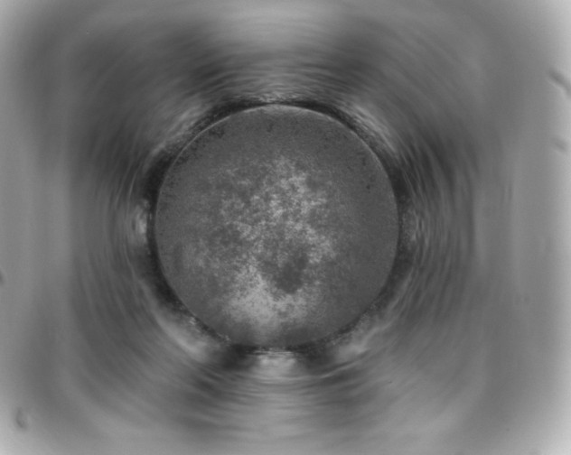 X0000096430214200801241345