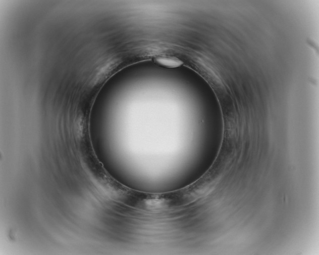 X0000096430216200801241345