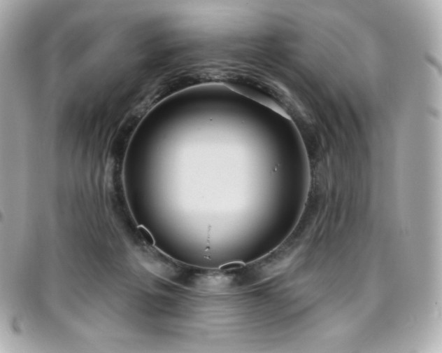 X0000096430217200801241345