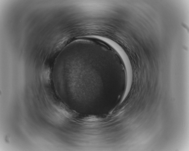 X0000096430219200801241345