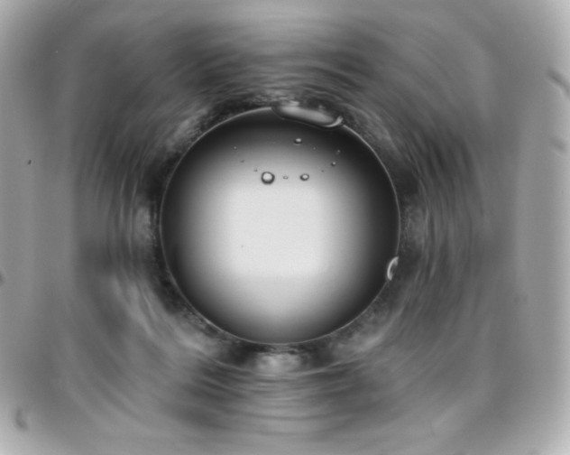 X0000096430220200801241345