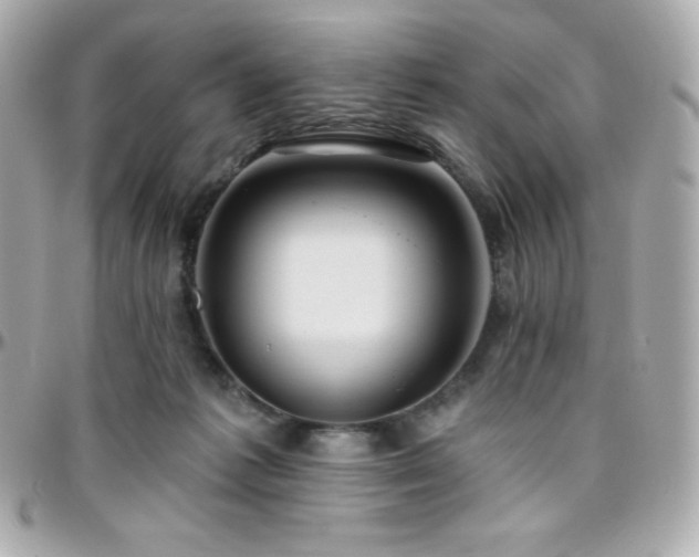 X0000096430221200801241345