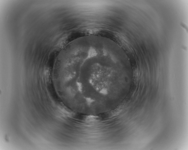 X0000096430222200801241345