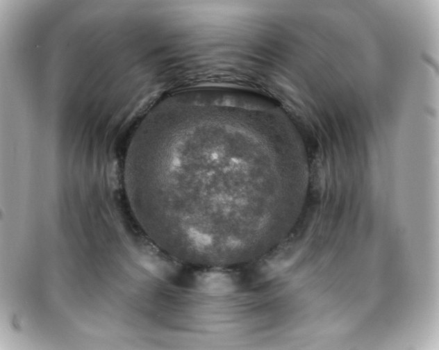 X0000096430224200801241345