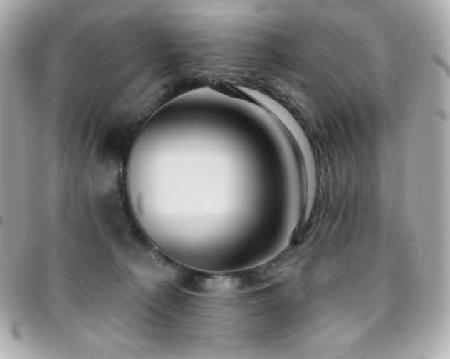X0000096430225200801241345