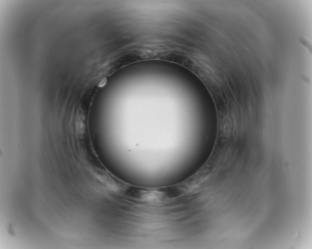X0000096430226200801241345
