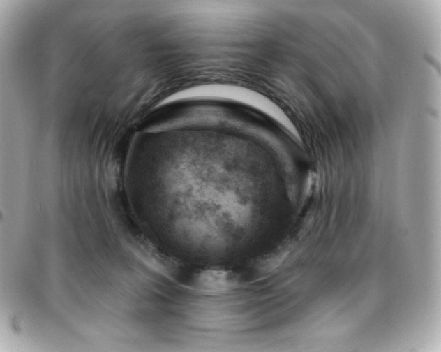 X0000096430227200801241345