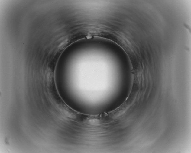 X0000096430228200801241345