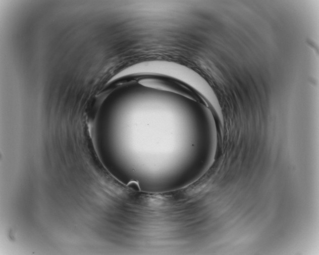X0000096430229200801241345