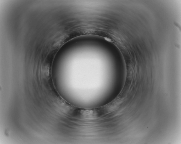 X0000096430230200801241345