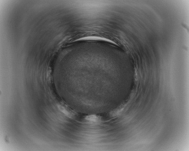 X0000096430231200801241345