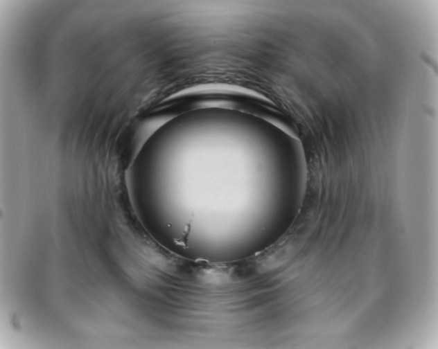 X0000096430232200801241345