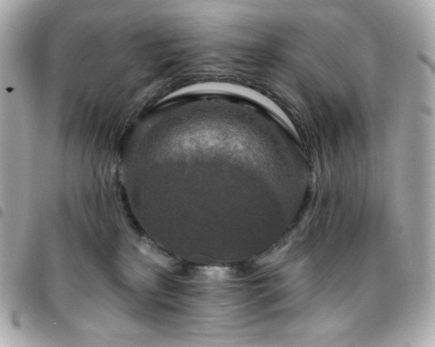 X0000096430233200801241345
