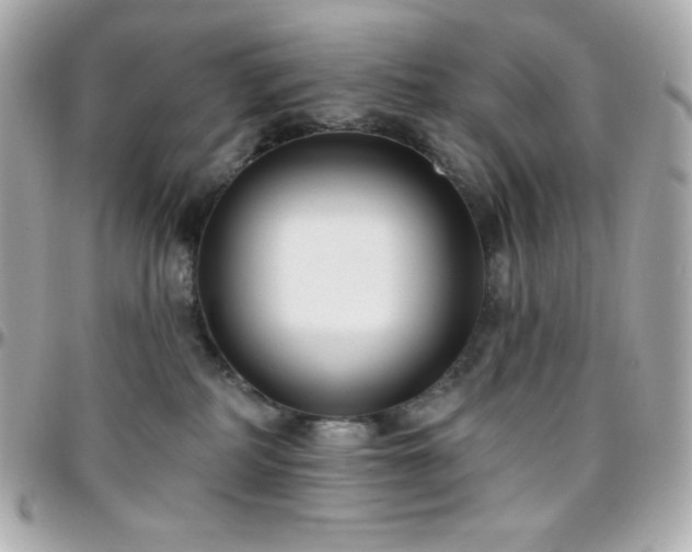 X0000096430234200801241345