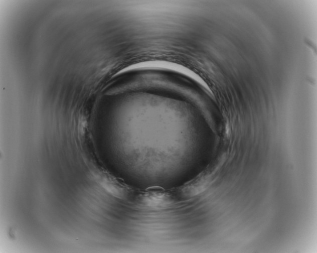 X0000096430235200801241345
