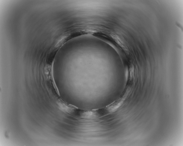 X0000096430237200801241345