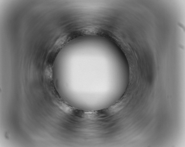 X0000096430240200801241345