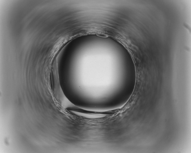 X0000096430241200801241344
