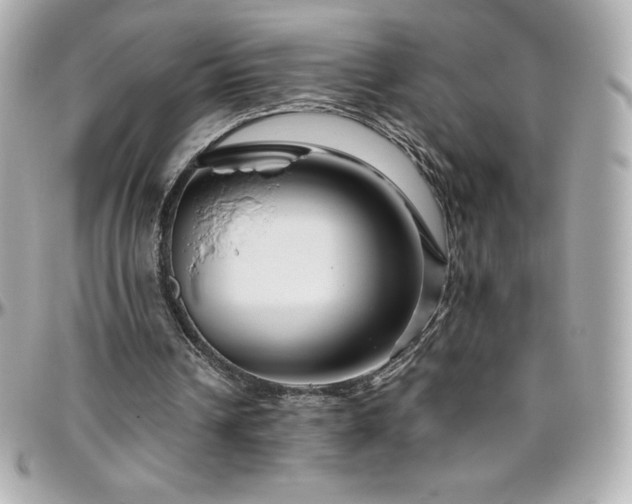 X0000096430242200801241344