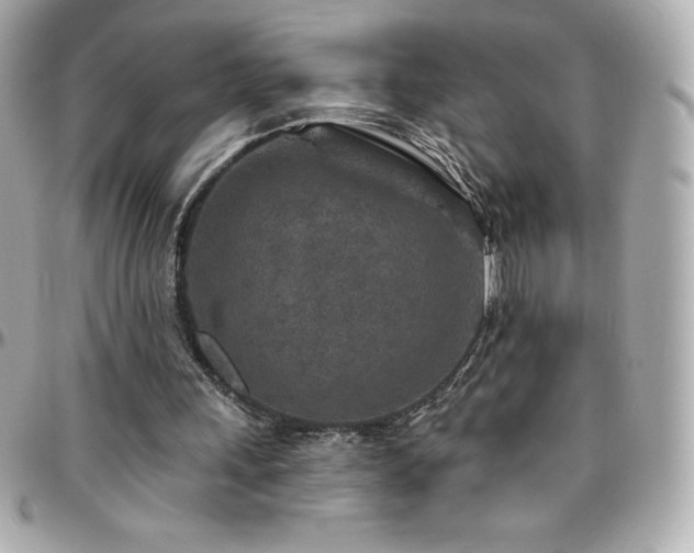 X0000096430243200801241344