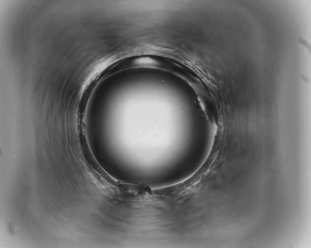 X0000096430244200801241344