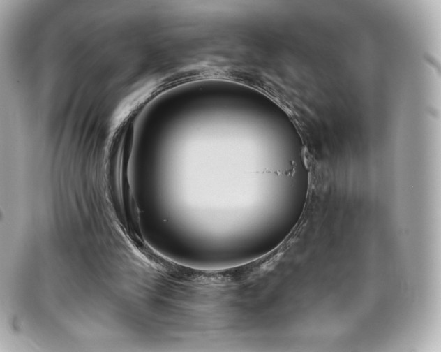 X0000096430245200801241344