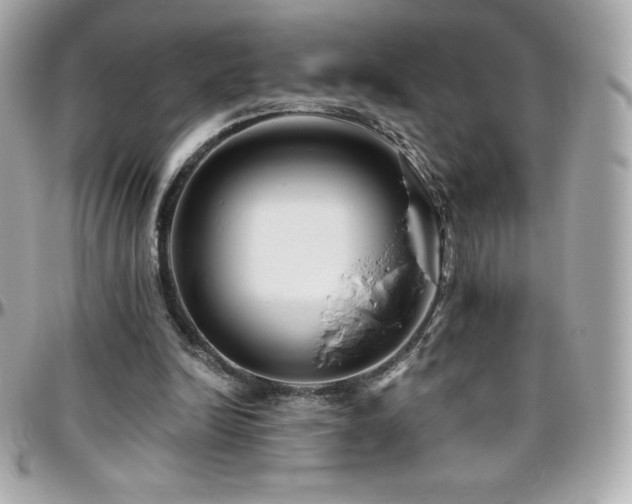 X0000096430246200801241344