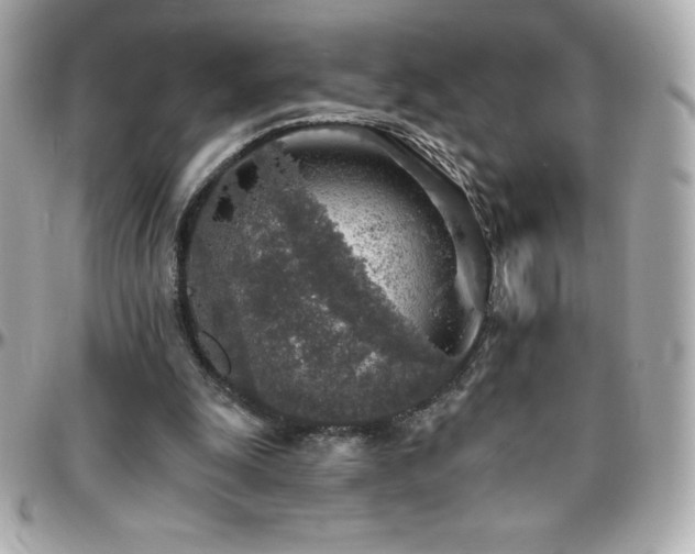 X0000096430247200801241344