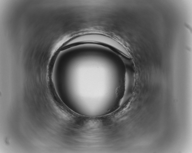 X0000096430248200801241344