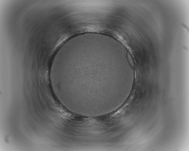 X0000096430249200801241344