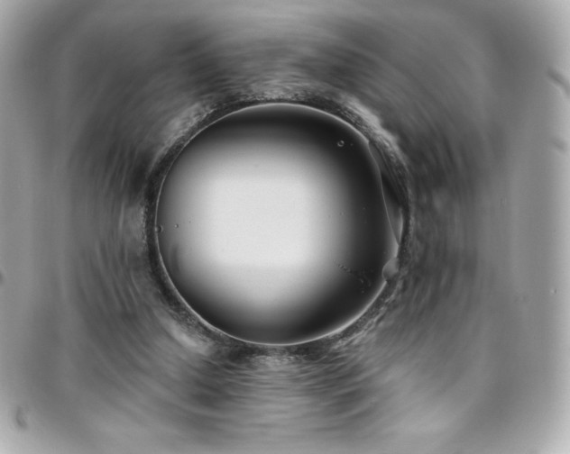 X0000096430250200801241344