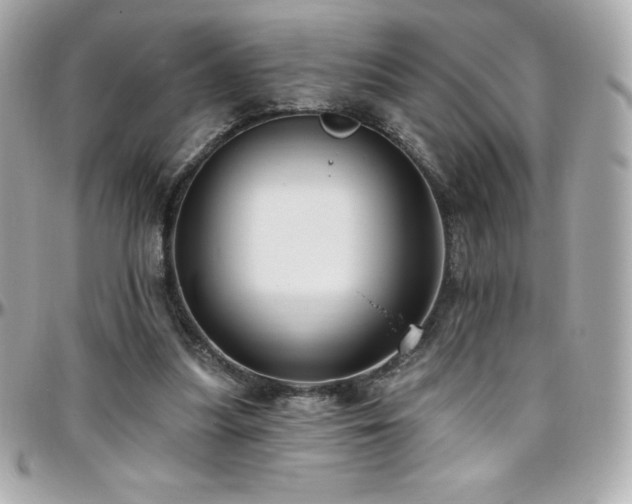 X0000096430251200801241344