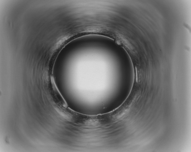 X0000096430252200801241344