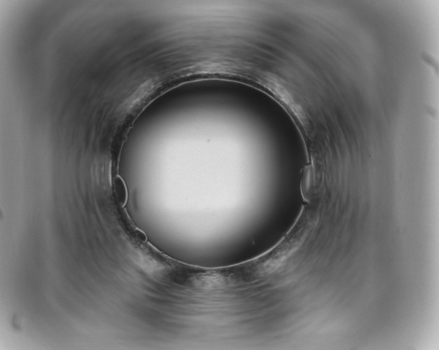 X0000096430253200801241344