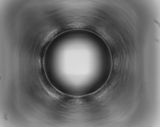 X0000096430254200801241344