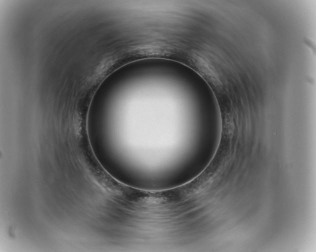 X0000096430255200801241344