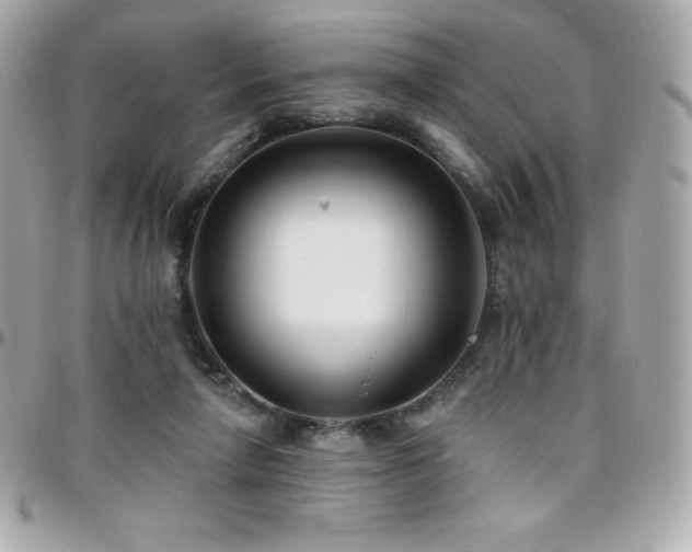 X0000096430258200801241344